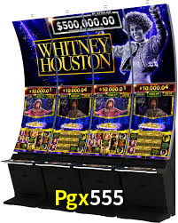 Pgx555
